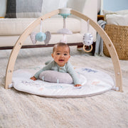 Rising Star Play + Discover Activity Gym